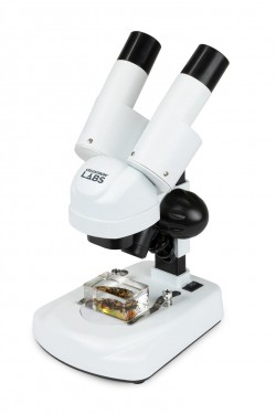 Celestron Labs S20 Angled Stereo Microscope